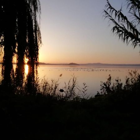 La Fenice Montefiascone Buitenkant foto