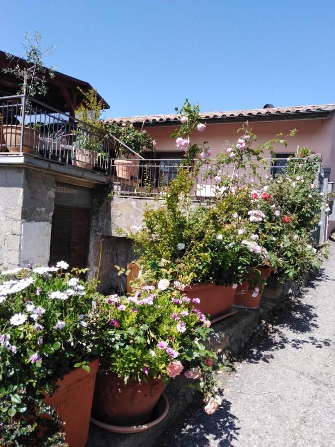 La Fenice Montefiascone Buitenkant foto
