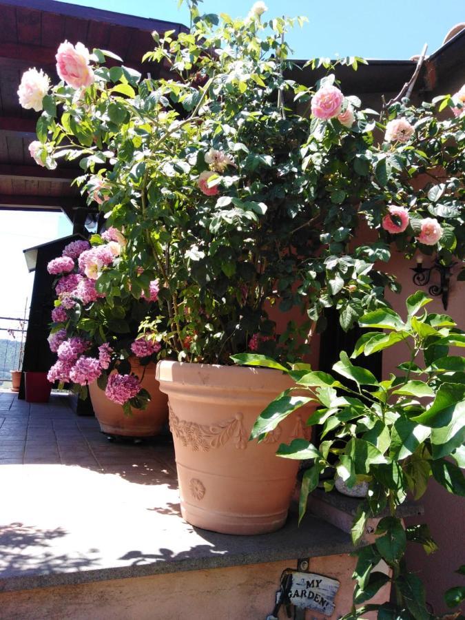 La Fenice Montefiascone Buitenkant foto