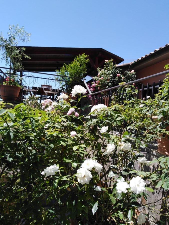 La Fenice Montefiascone Buitenkant foto