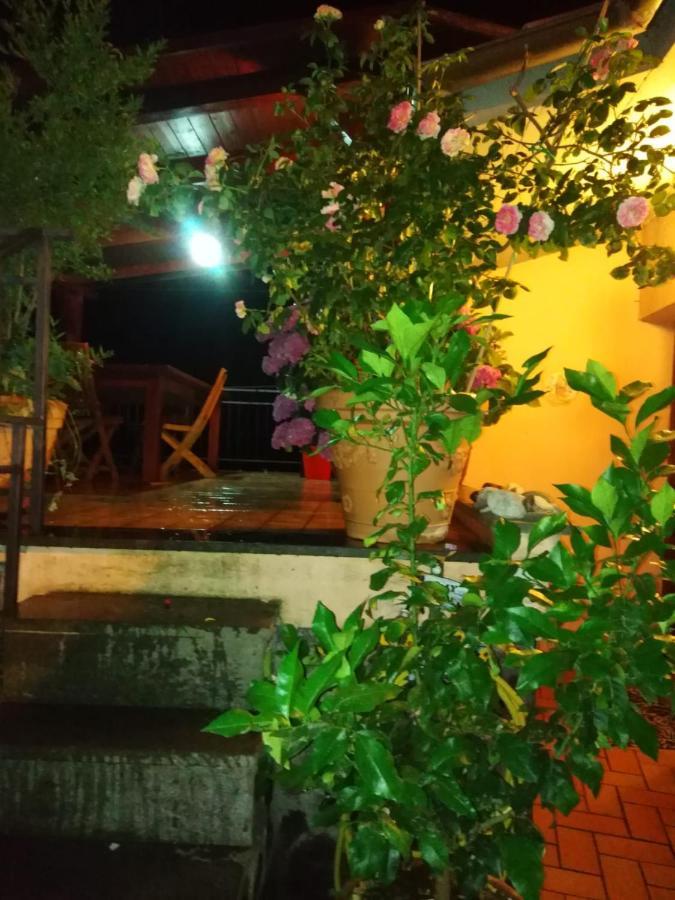 La Fenice Montefiascone Buitenkant foto