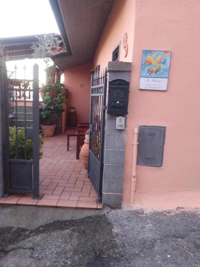 La Fenice Montefiascone Buitenkant foto