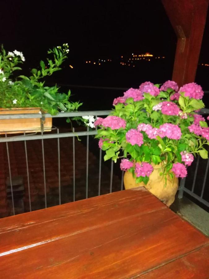 La Fenice Montefiascone Buitenkant foto