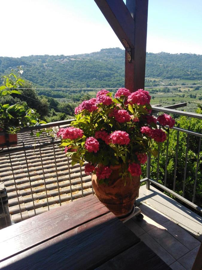 La Fenice Montefiascone Buitenkant foto