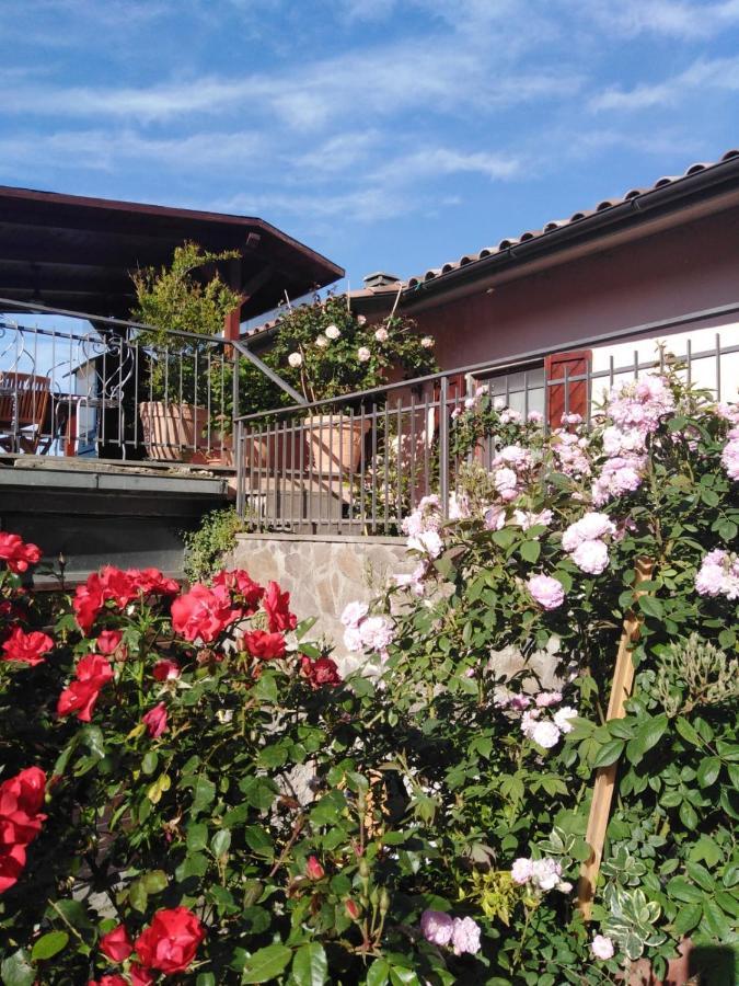 La Fenice Montefiascone Buitenkant foto