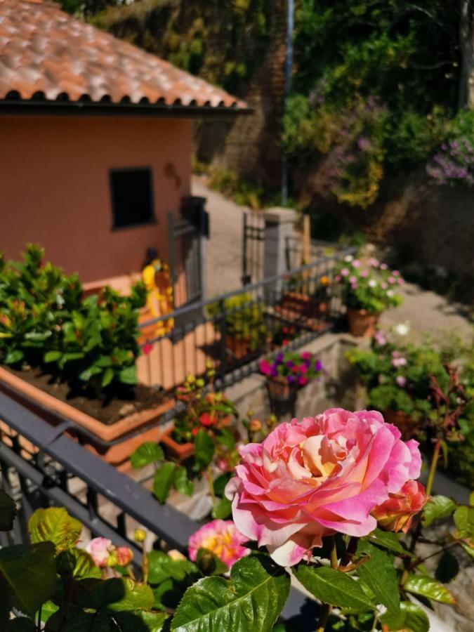 La Fenice Montefiascone Buitenkant foto