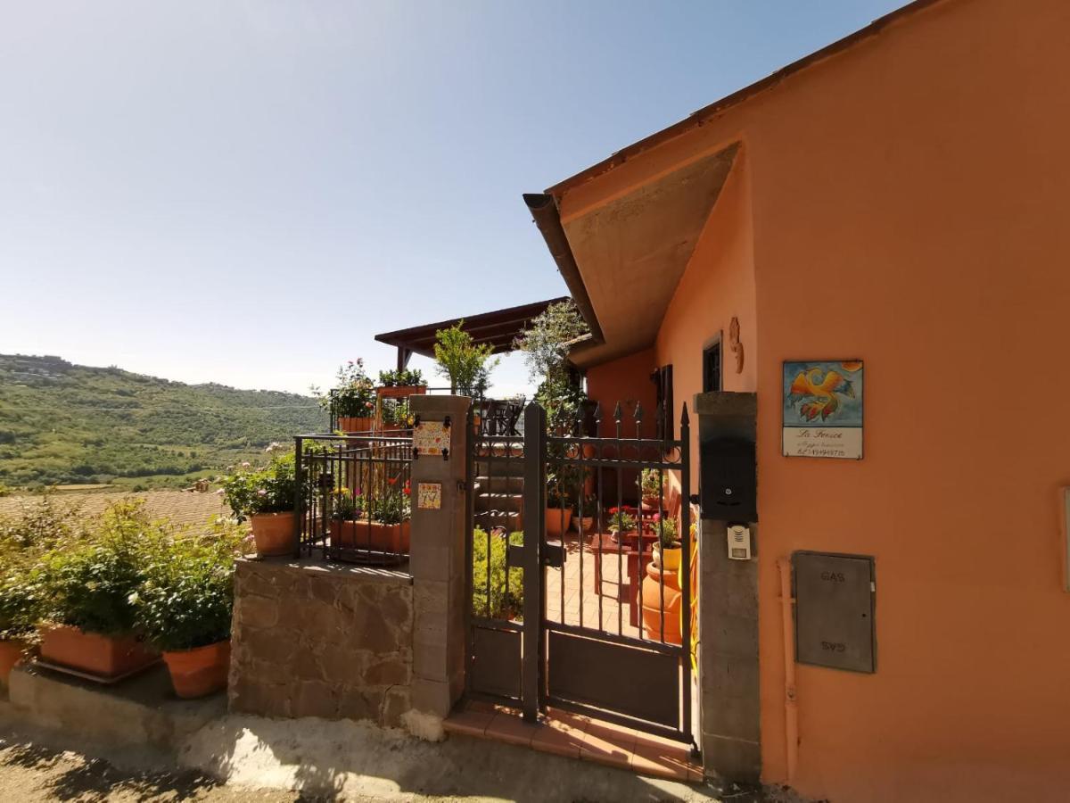 La Fenice Montefiascone Buitenkant foto
