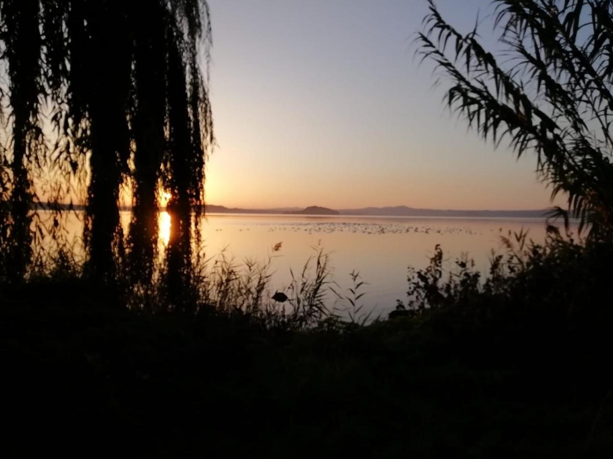 La Fenice Montefiascone Buitenkant foto