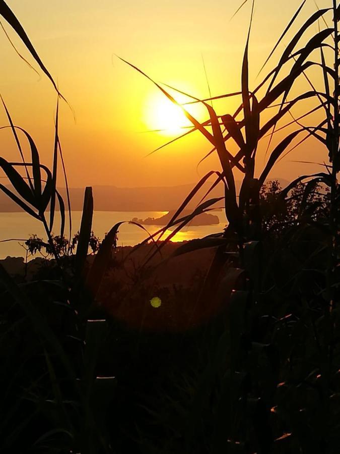 La Fenice Montefiascone Buitenkant foto