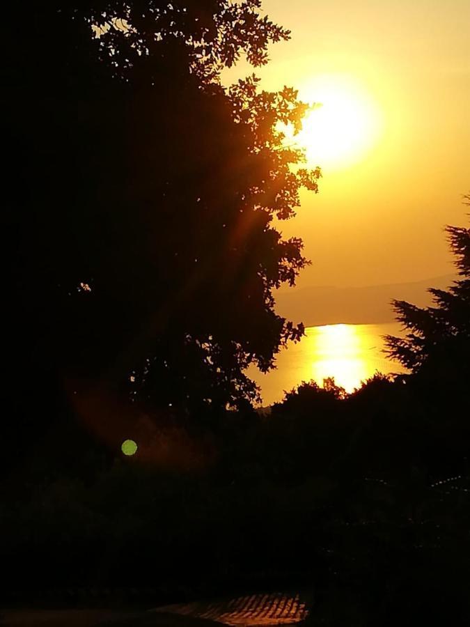 La Fenice Montefiascone Buitenkant foto