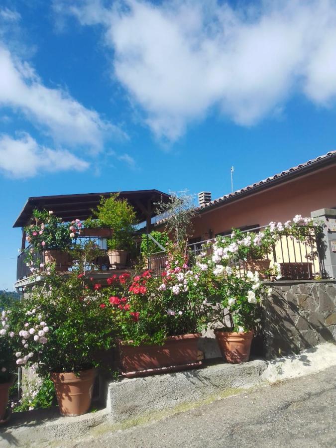 La Fenice Montefiascone Buitenkant foto