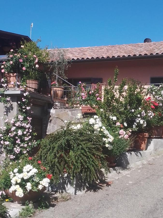 La Fenice Montefiascone Buitenkant foto